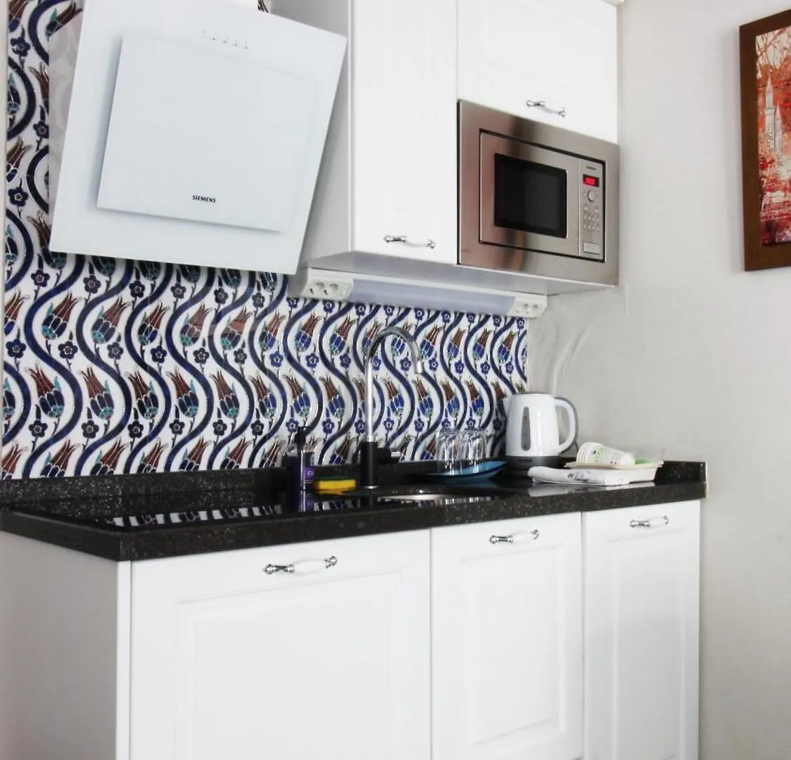 Excellent Apartments Galata Istanbul